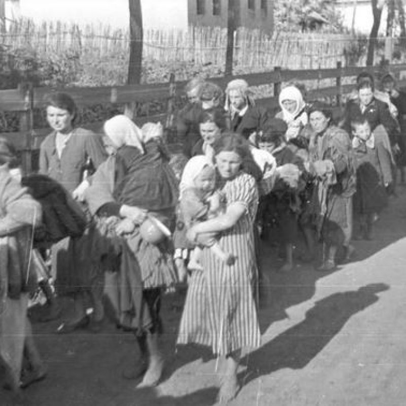 זכויות עדכניות לנרדפי הנאצים