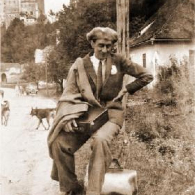 מקסימיליאן הרמן מקסי